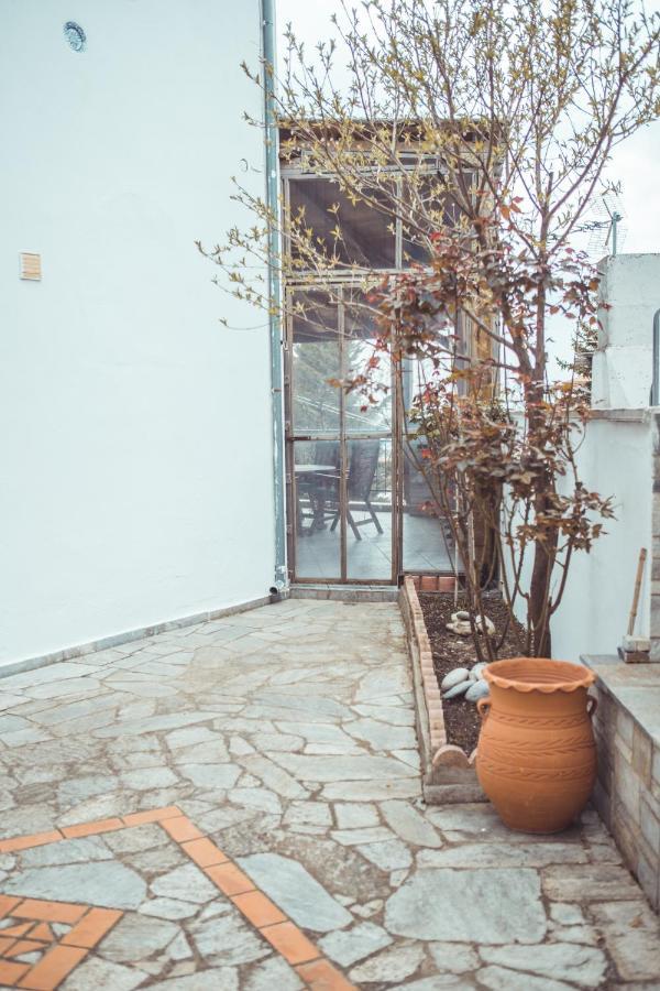 Violetta'S House Παραδοσιακή Βίλα Στην Πορταριά ภายนอก รูปภาพ